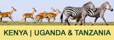 Kenya Uganda Tanzania safari packages